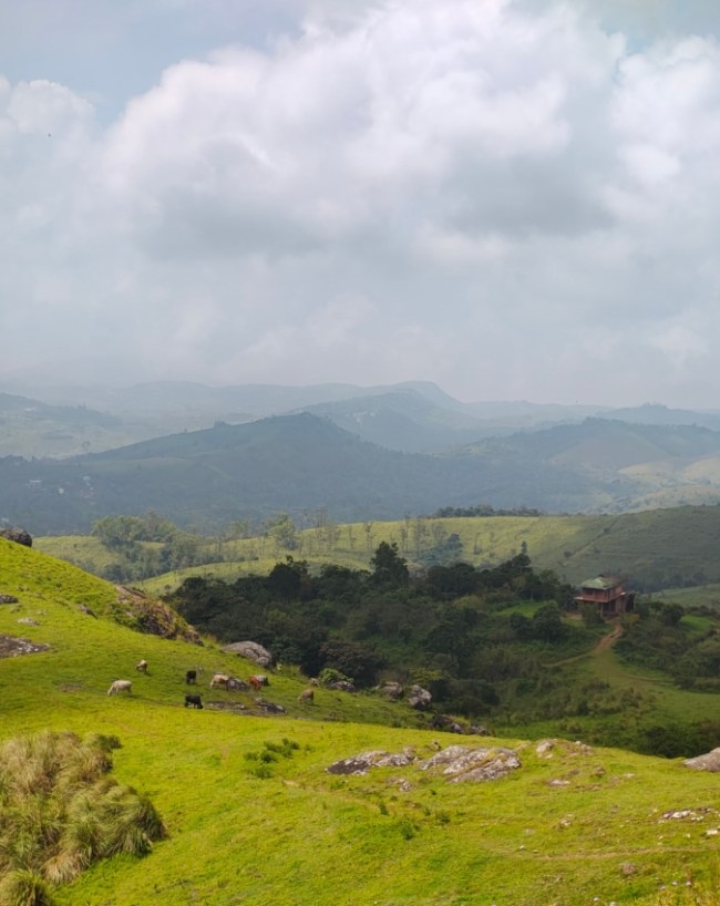 कूर्ग