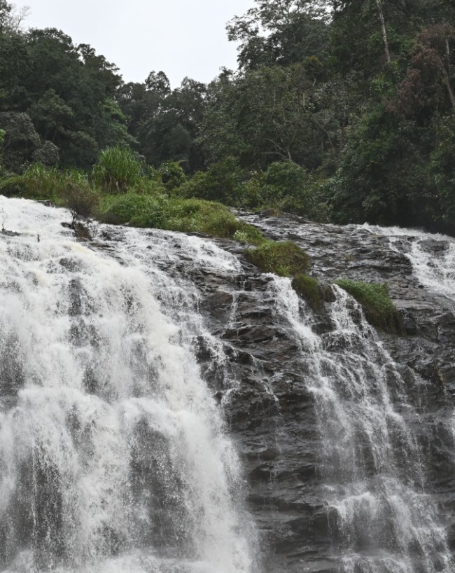कूर्ग