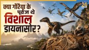 148 Million Year Old Dinosaur Fossil Found in China