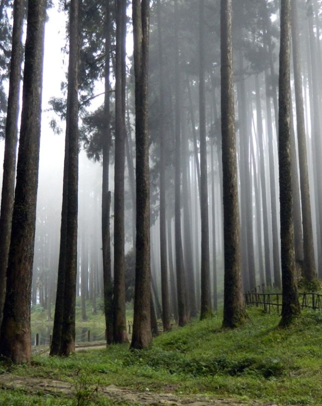 दार्जिलिंग
