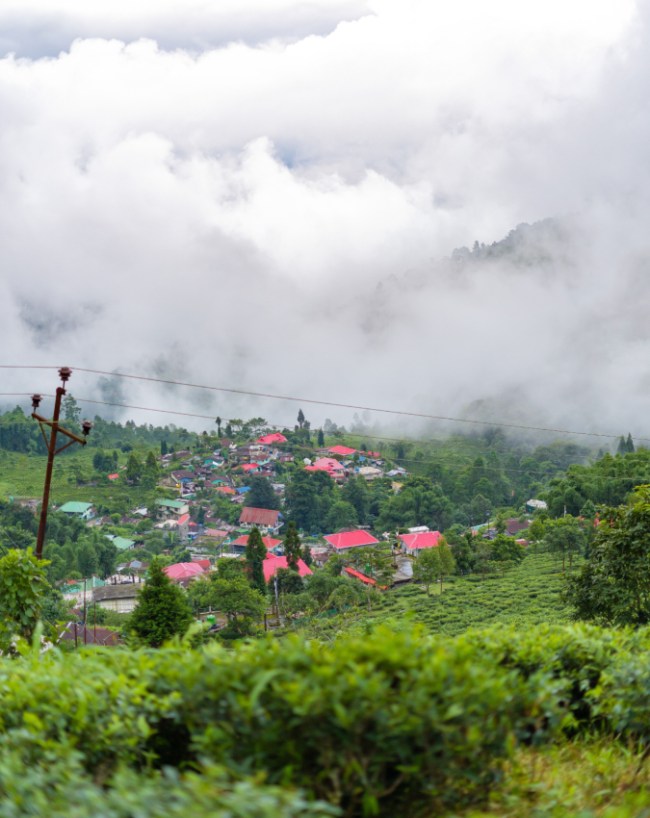 दार्जिलिंग