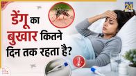 Dengue symptoms