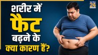 body fat causes
