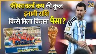 FIFA World Cup 2026