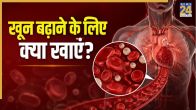 How To Increase Blood