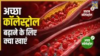 How To Increase Good Cholesterol HDL