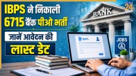 IBPS PO Recruitment 2026