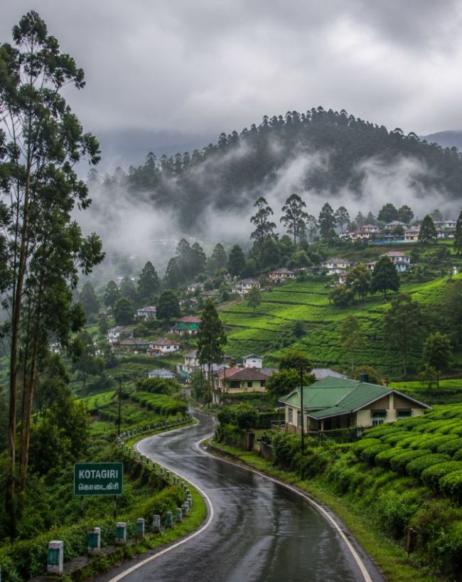 कोटागिरी 