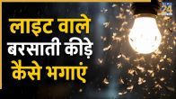 Light wale kide kaise bhagaye
