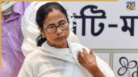 Mamata Banerjee high court setback