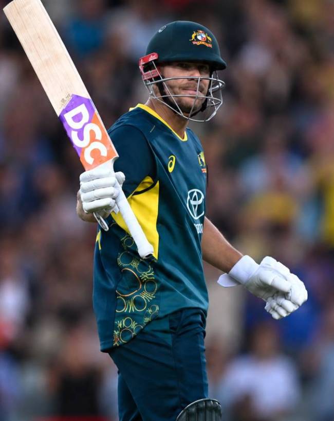 डेविड वॉर्नर (David Warner)
