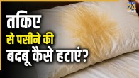 How To Keep Home Fresh In Monsoon Season