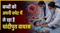 Chandipura Virus