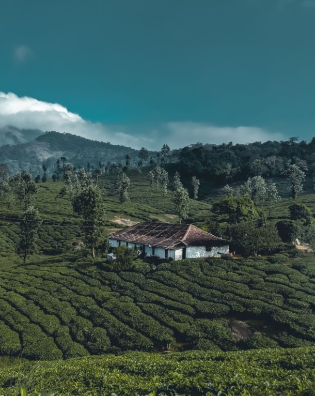 मानसून में जरूर प्लान करें एक ट्रिप
