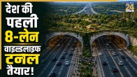 The country's first 8-lane wildlife tunnel