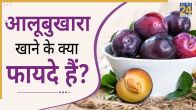 benefits of eating plum in hindi