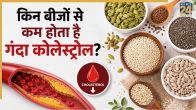 seeds for cholesterol