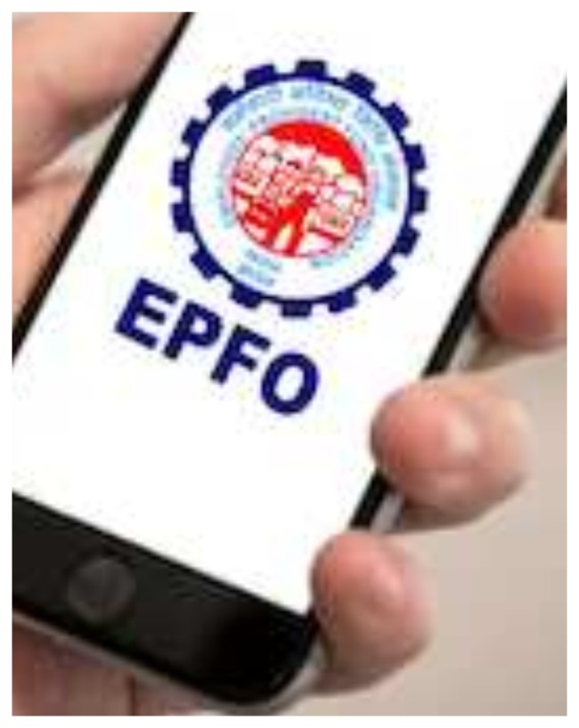 EPFO की आधिकारिक वेबसाइट से जानें PF बैलेंस