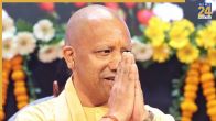 Yogi Government