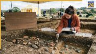 How Long Do Human Bones Stay in a Grave