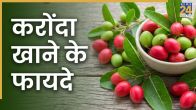 karonda khane ke fayde