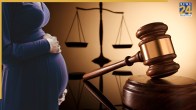 high court