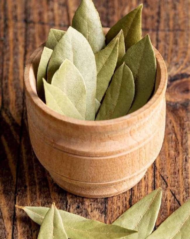 तेजपत्ता - सफलता का द्वार 