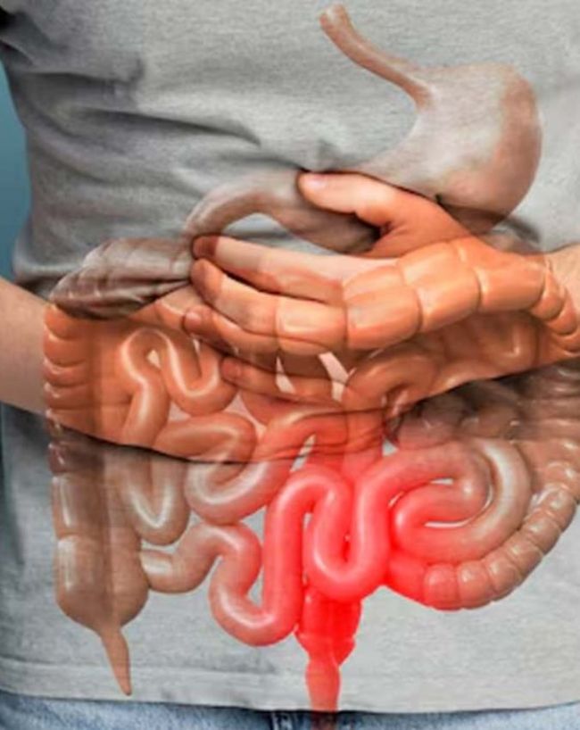 क्यों बढ़ जाती हैं पाचन संबंधी समस्याएं? 