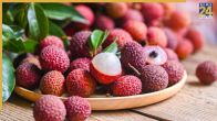 Litchi worms harmful