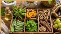Herbs to boost immunity