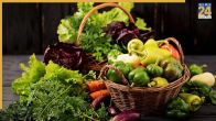 Monsoon Plants Growing Tips