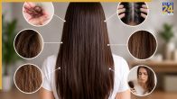Hair Reveals About Your Health