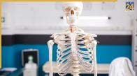 Bone Cancer: