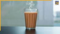 Can Drink Tea After Meal