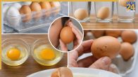 how to tell if eggs are bad after cracking