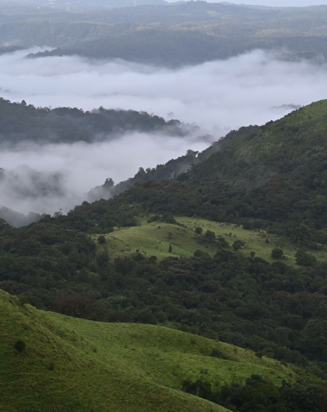 अगुम्बे