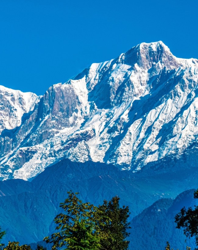 चोपता