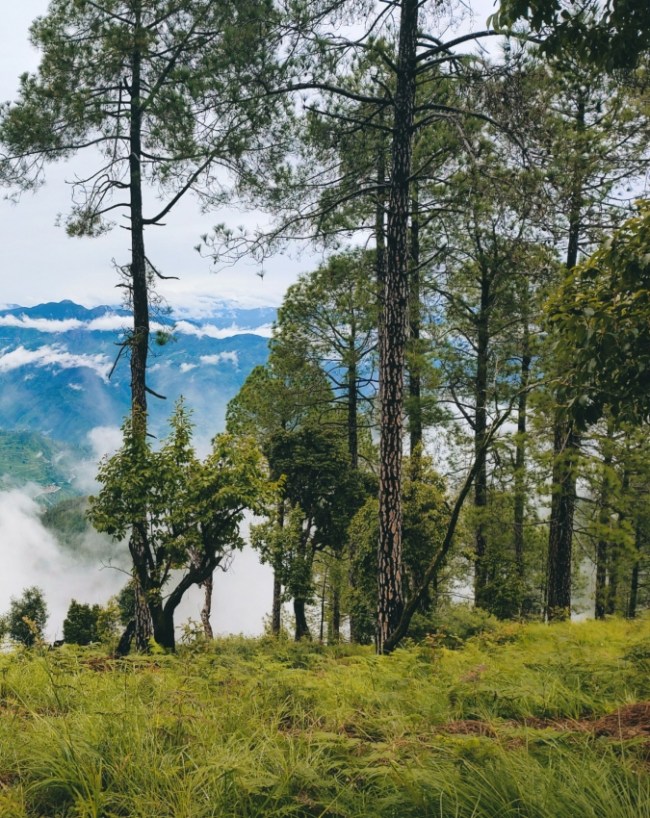 शांति और सुकून के लिए आते पर्यटक