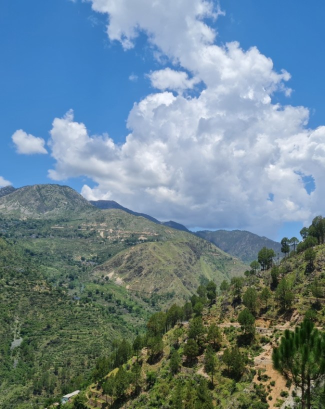 जीरो