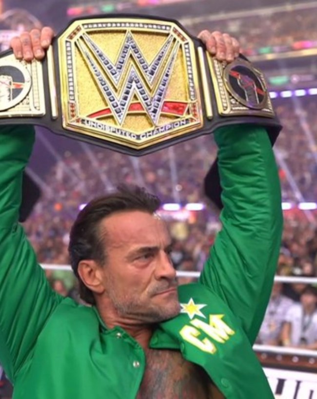 अनडिस्प्यूटेड WWE चैंपियनशिप मैच