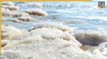 Sea Water Salty
